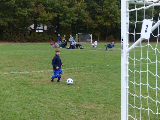 P1010089 (10-12-2013 14:06)