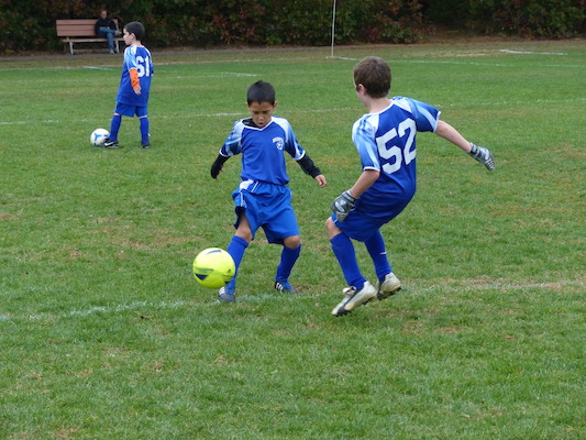 P1010114 (10-12-2013 14:20)