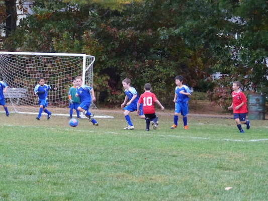 P1010133 (10-12-2013 15:08)