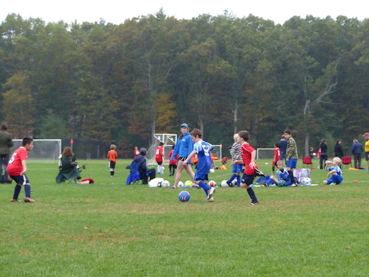 P1010134 (10-12-2013 15:08)