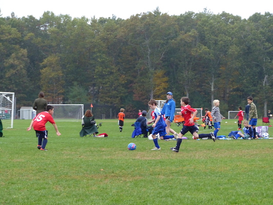 P1010135 (10-12-2013 15:08)