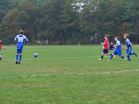 P1010150 (10-12-2013 15:25)