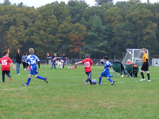 P1010152 (10-12-2013 15:31)