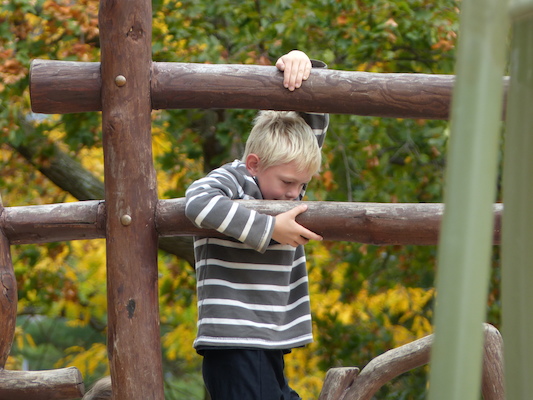 P1010171 (10-13-2013 12:02)