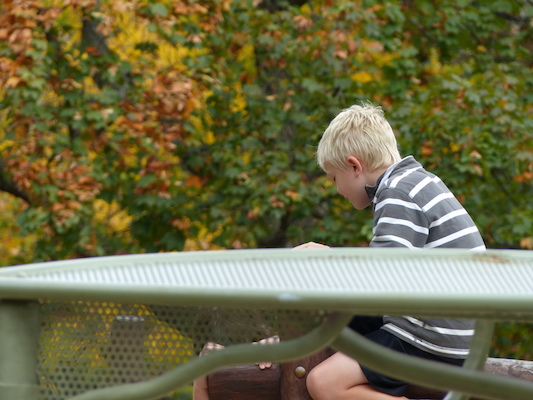 P1010174 (10-13-2013 12:05)