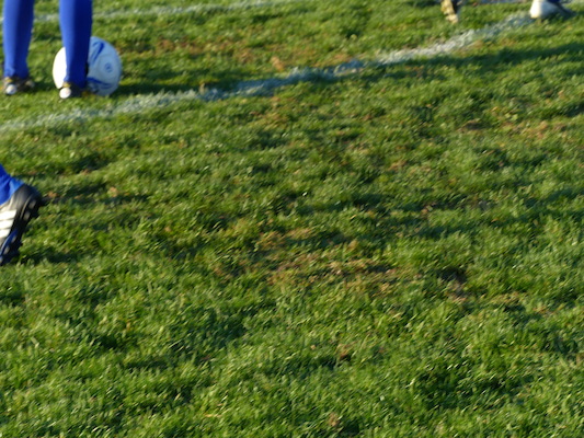 P1010252 (10-17-2013 16:57)