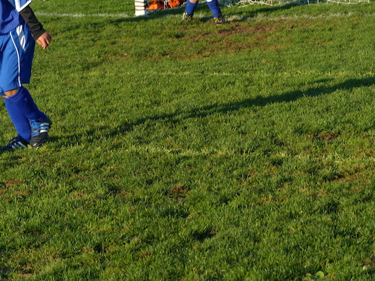 P1010257 (10-17-2013 16:58)