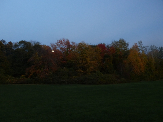 P1010316 (10-17-2013 18:12)