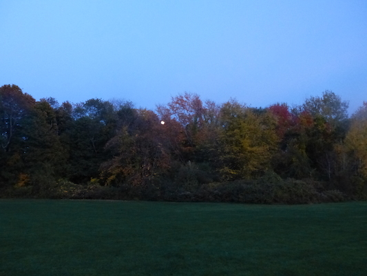 P1010317 (10-17-2013 18:13)