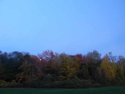 P1010318 (10-17-2013 18:13)