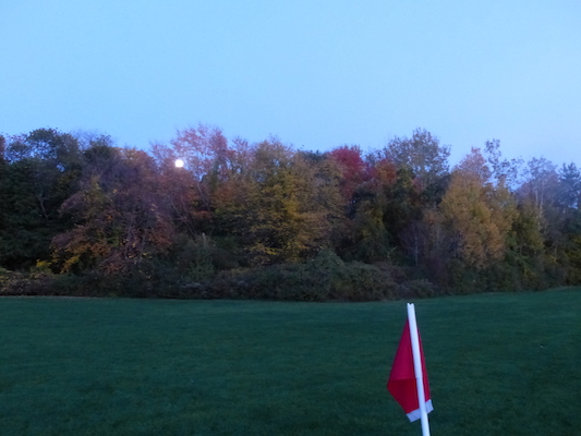 P1010319 (10-17-2013 18:17)