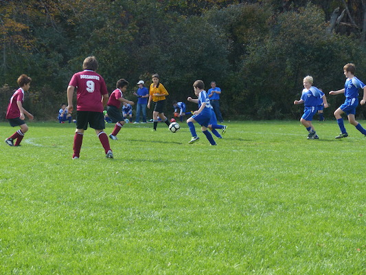 P1010331 (10-19-2013 13:00)