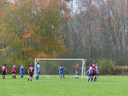 P1010333 (10-19-2013 13:05)