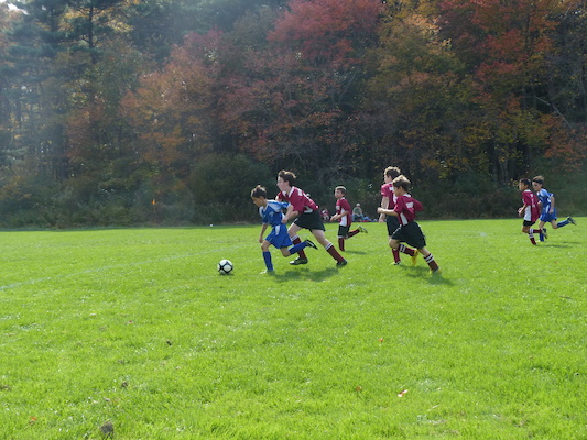 P1010335 (10-19-2013 13:09)