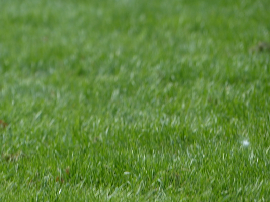 P1010344 (10-19-2013 13:19)