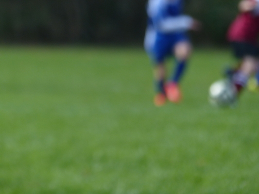 P1010345 (10-19-2013 13:19)