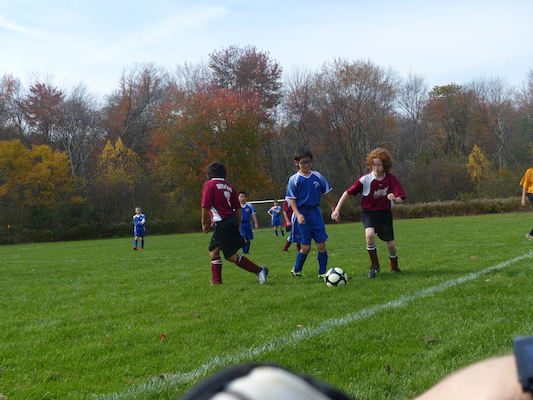 P1010360 (10-19-2013 13:21)