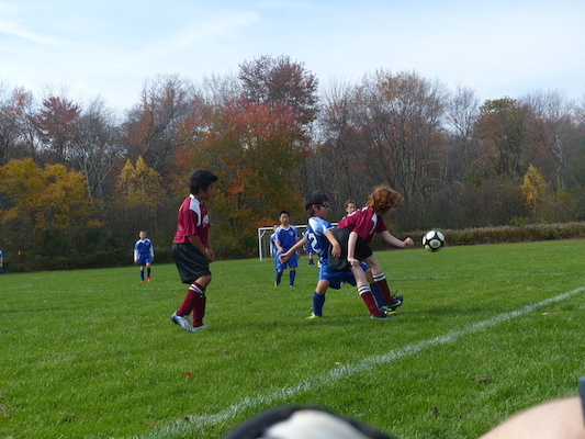 P1010362 (10-19-2013 13:21)