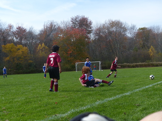 P1010363 (10-19-2013 13:21)