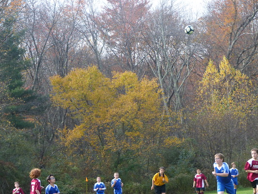 P1010379 (10-19-2013 13:22)