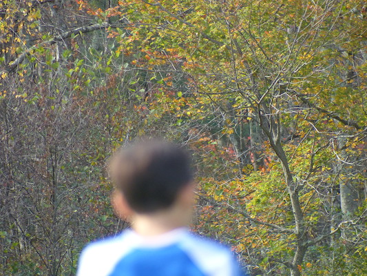 P1010400 (10-19-2013 13:24)