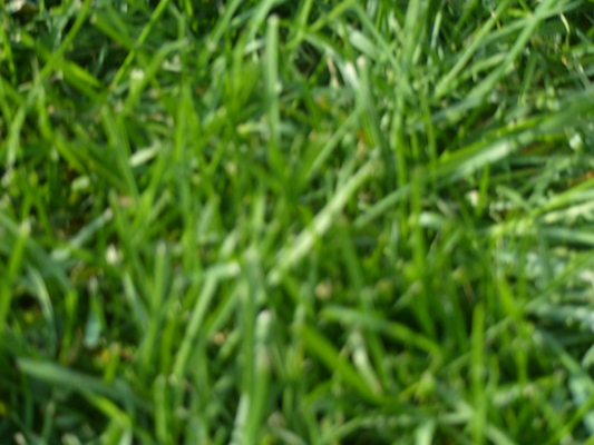 P1010401 (10-19-2013 13:24)