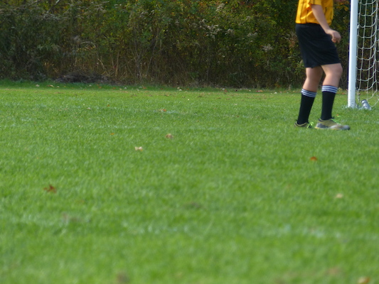 P1010414 (10-19-2013 13:26)