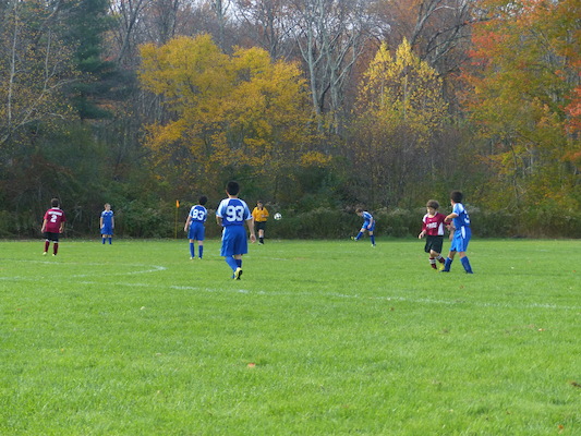 P1010419 (10-19-2013 13:28)