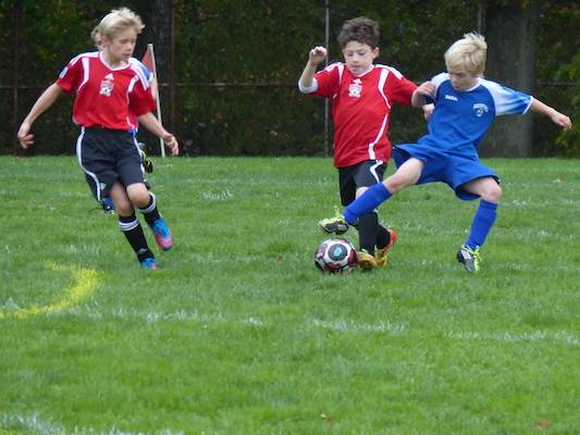 P1010463 (10-19-2013 15:30)