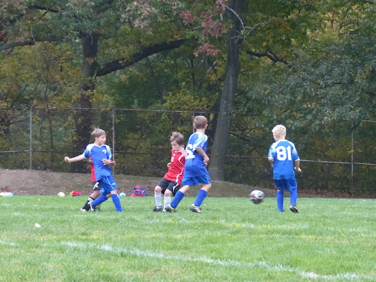 P1010488 (10-19-2013 15:53)