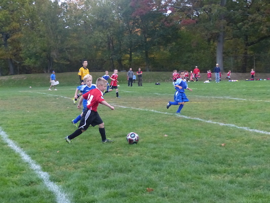 P1010498 (10-19-2013 16:31)