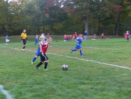 P1010499 (10-19-2013 16:31)