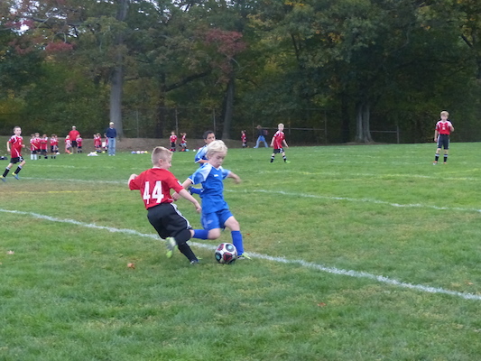 P1010500 (10-19-2013 16:31)