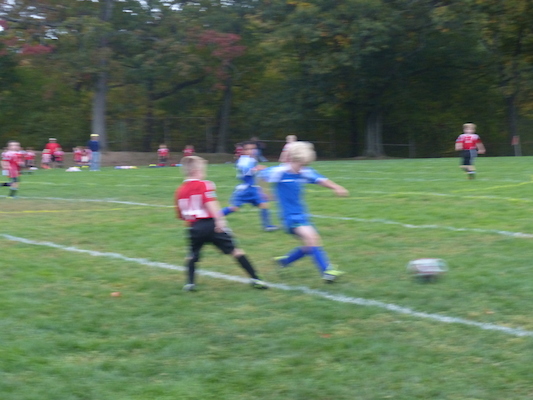 P1010501 (10-19-2013 16:31)