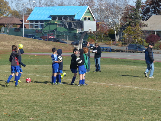 P1010510 (11-09-2013 12:09)