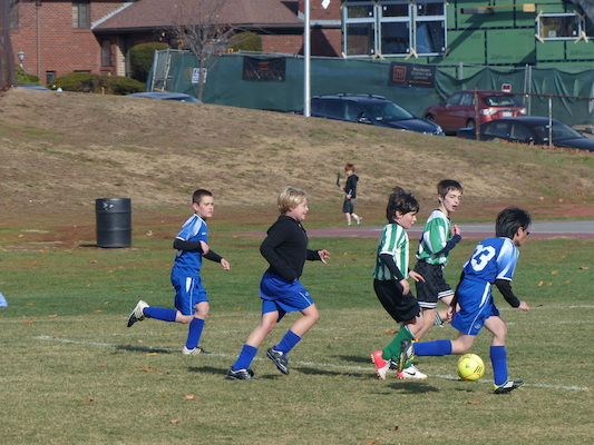 P1010523 (11-09-2013 12:40)