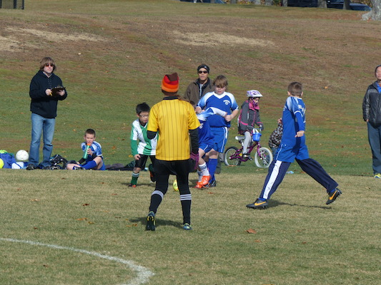 P1010528 (11-09-2013 12:48)