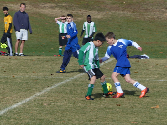 P1010529 (11-09-2013 12:48)