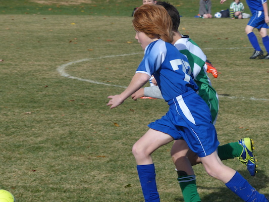 P1010530 (11-09-2013 12:48)