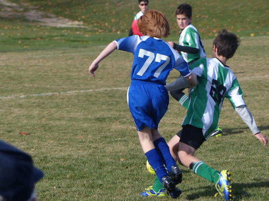 P1010531 (11-09-2013 12:48)