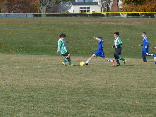 P1010535 (11-09-2013 12:50)