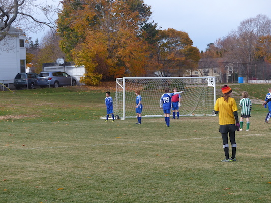 P1010538 (11-09-2013 13:14)