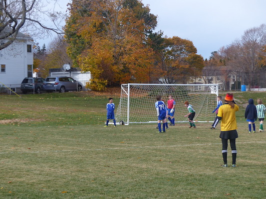 P1010539 (11-09-2013 13:14)