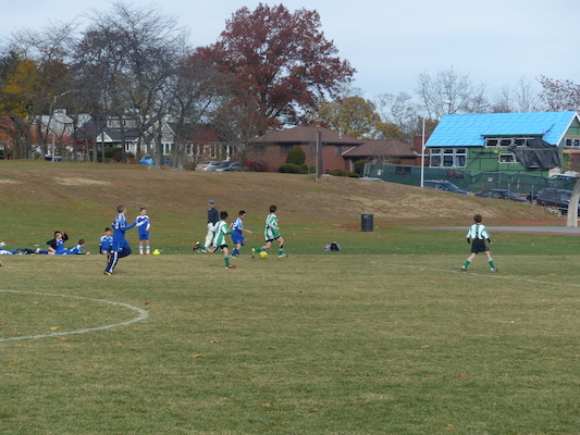 P1010540 (11-09-2013 13:15)