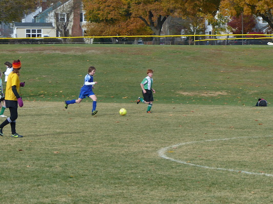 P1010541 (11-09-2013 13:16)