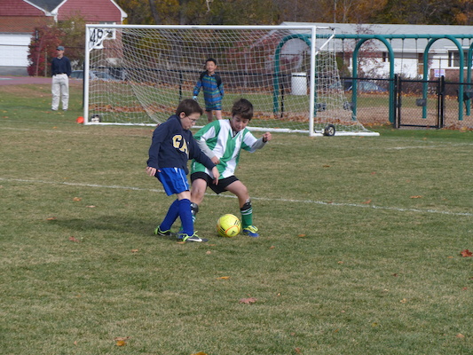 P1010543 (11-09-2013 13:17)