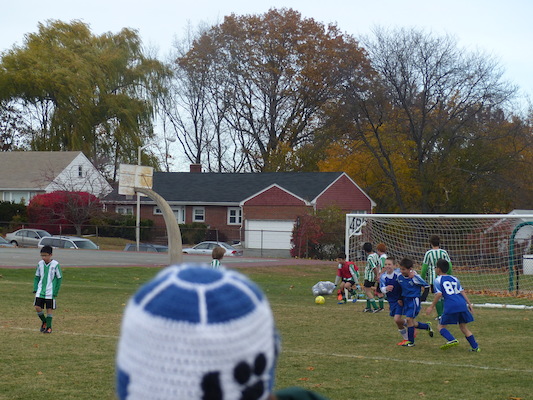 P1010544 (11-09-2013 13:34)