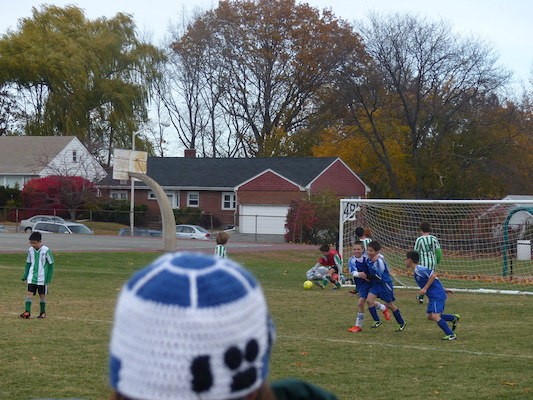 P1010545 (11-09-2013 13:34)