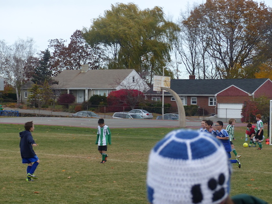 P1010546 (11-09-2013 13:34)