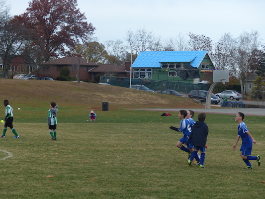 P1010549 (11-09-2013 13:34)